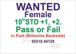 Wanted Female  10TH STD, +1, +12, Pass / Fail.