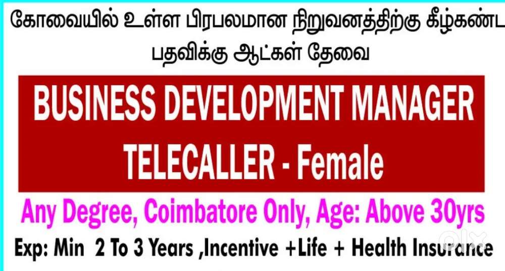 BUSINESS DEVELOPMENT MANAGER &TELE CALLER
