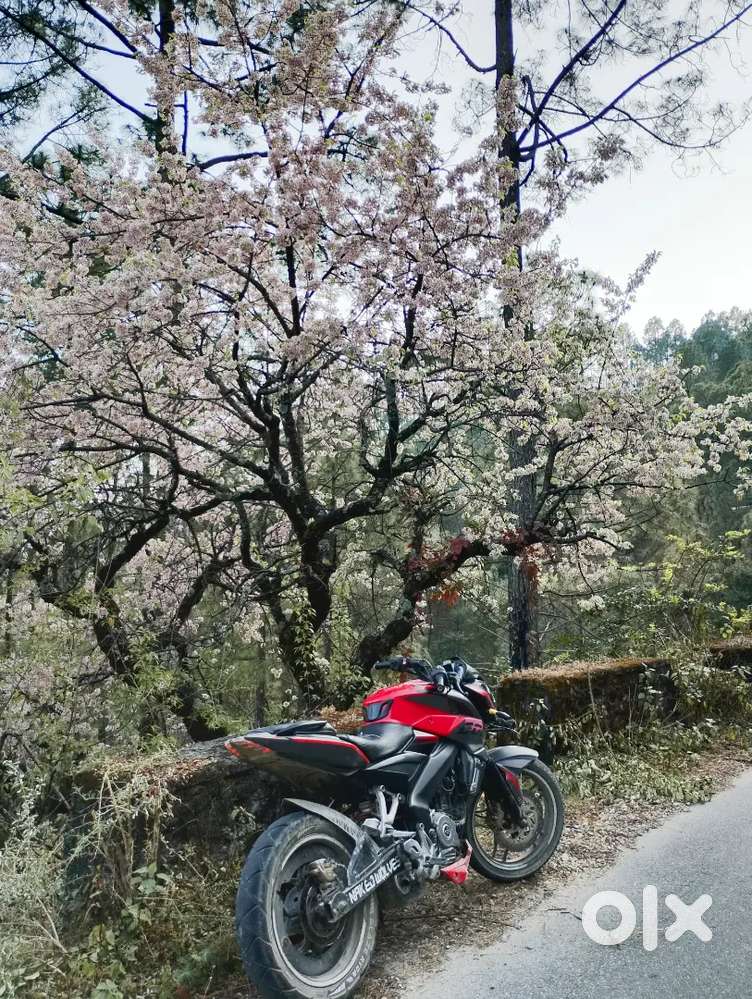 Ns 200 good condition onlY serious buyers dm kree