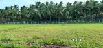110 cent total 37 lakh / farm land