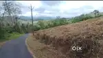Near kalichanadukkam