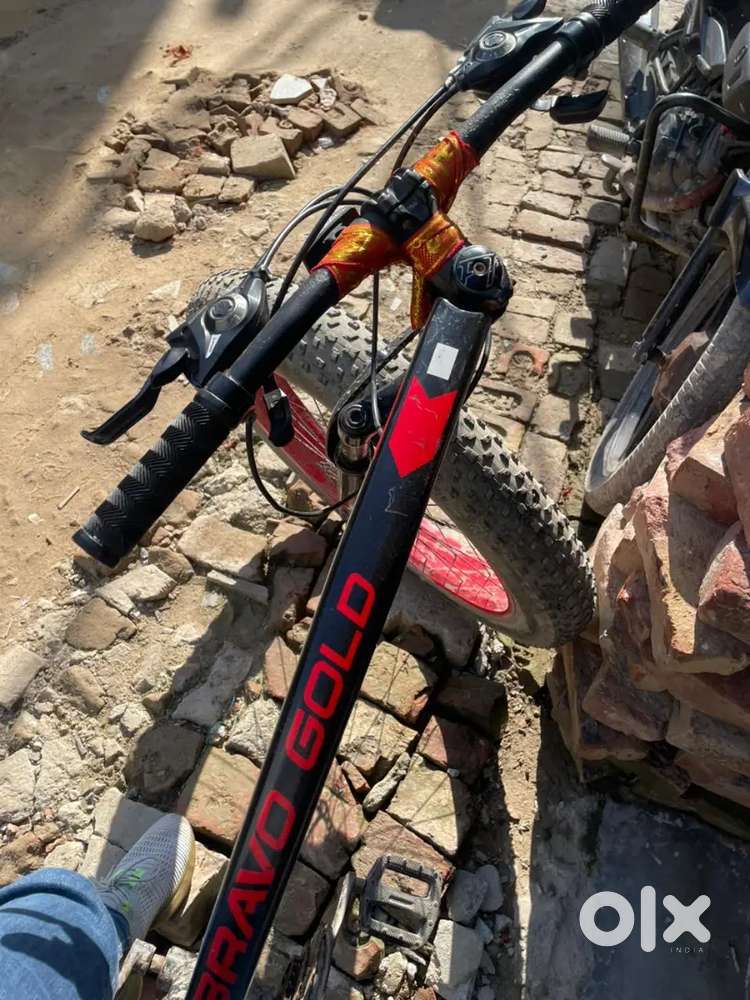 Bravo gold fat bike