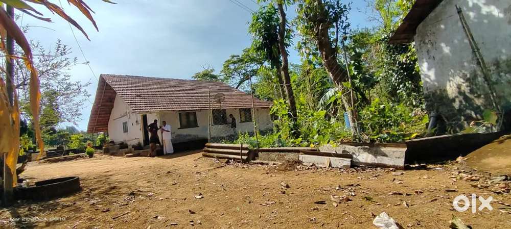 30 acre Robusta coffee sale wayanad