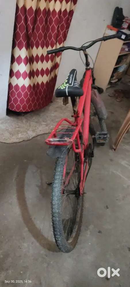Gang foxy cycle single speed