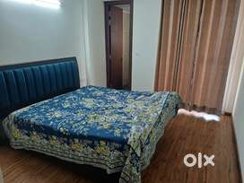 Fully Furnished 2 BHK Independent Flat For Rent El Spazia