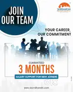 Marketing Executive