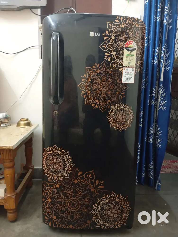 LG Fridges 190 Liter Storage