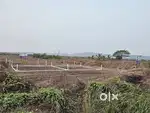Individual NA PLOT PRIME LOCATION