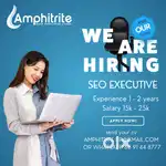 HIRING   SEO Executive