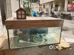 Fish tank for sell