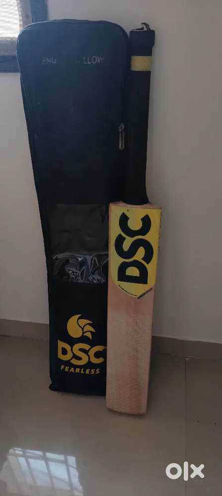 Dsc cricket bat