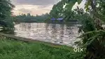 25 cent land  sale at Eroor - Thripunithura  price 2.6 Cr nego