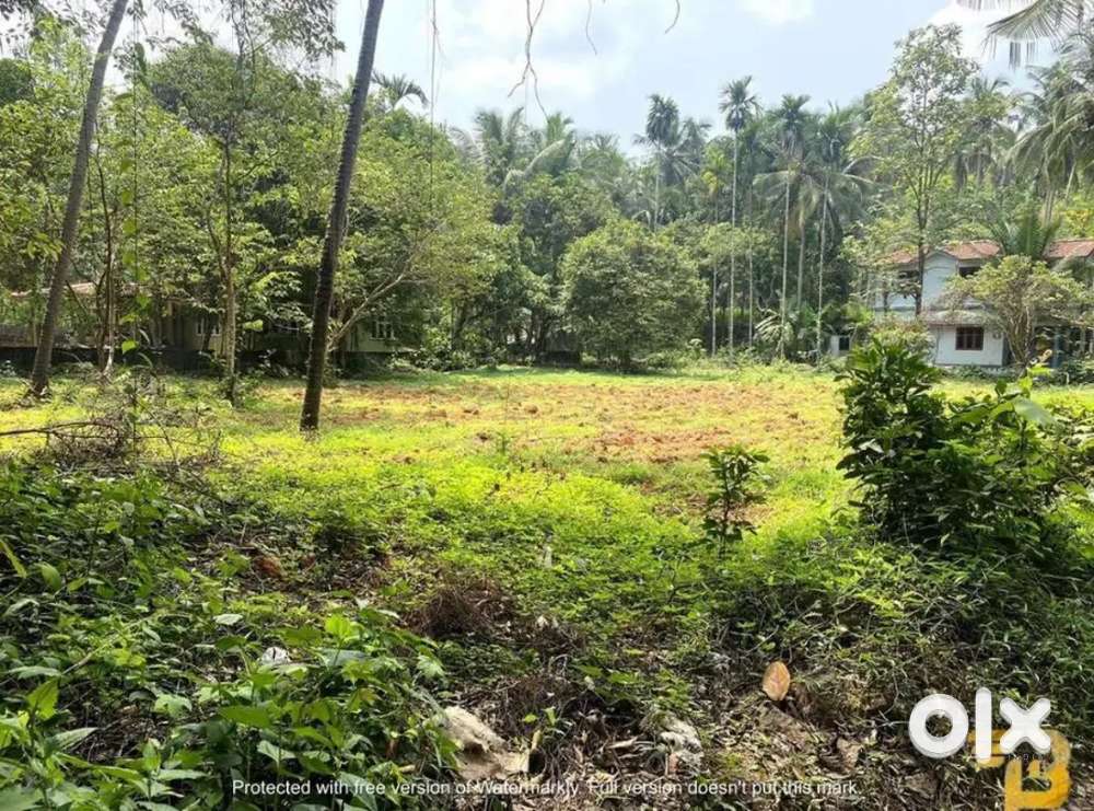 NH Frontage 34 Cent Plot For Sale