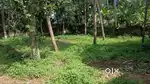 Sreekaryam karyam jn 6 cent 50 mtr kariyam main road