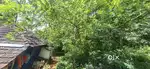 24 cent land with an old home