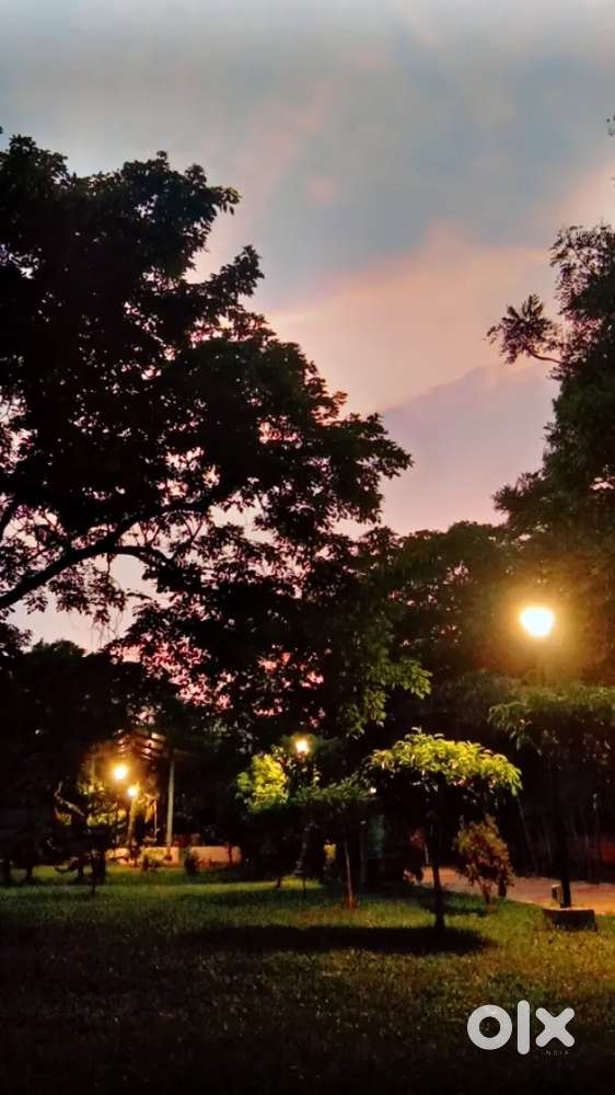 Need one Female (Student) Roommate