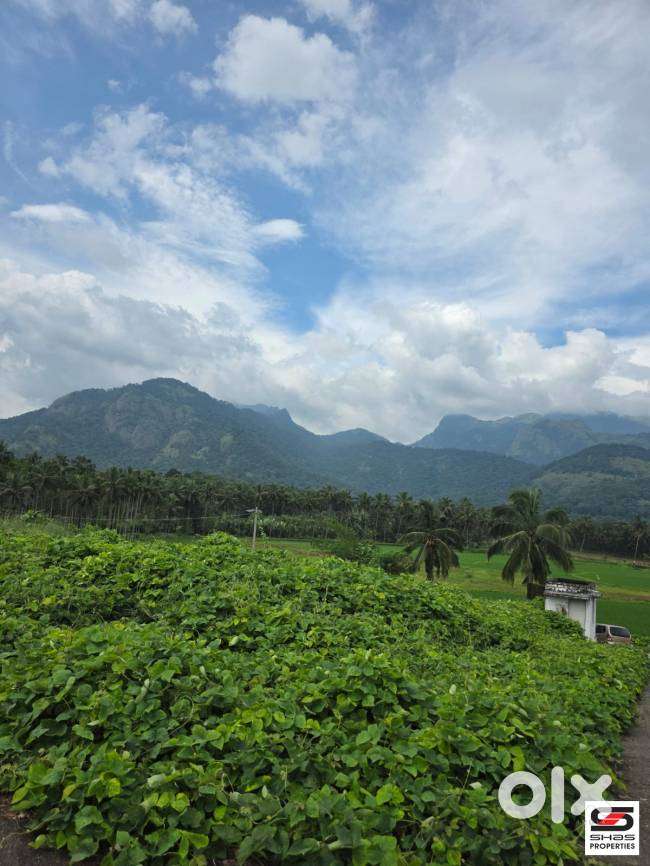 House plots for sale near Dhoni, Palakkad