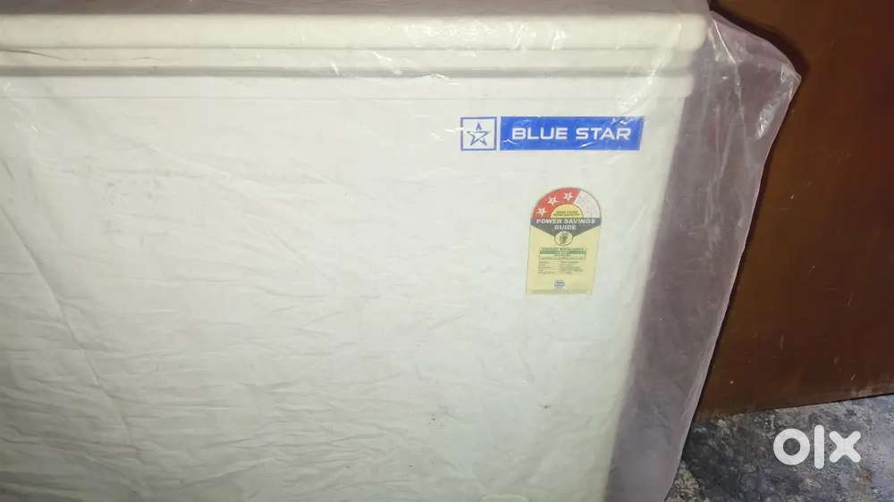 Blue star deep freezer 2 month running only