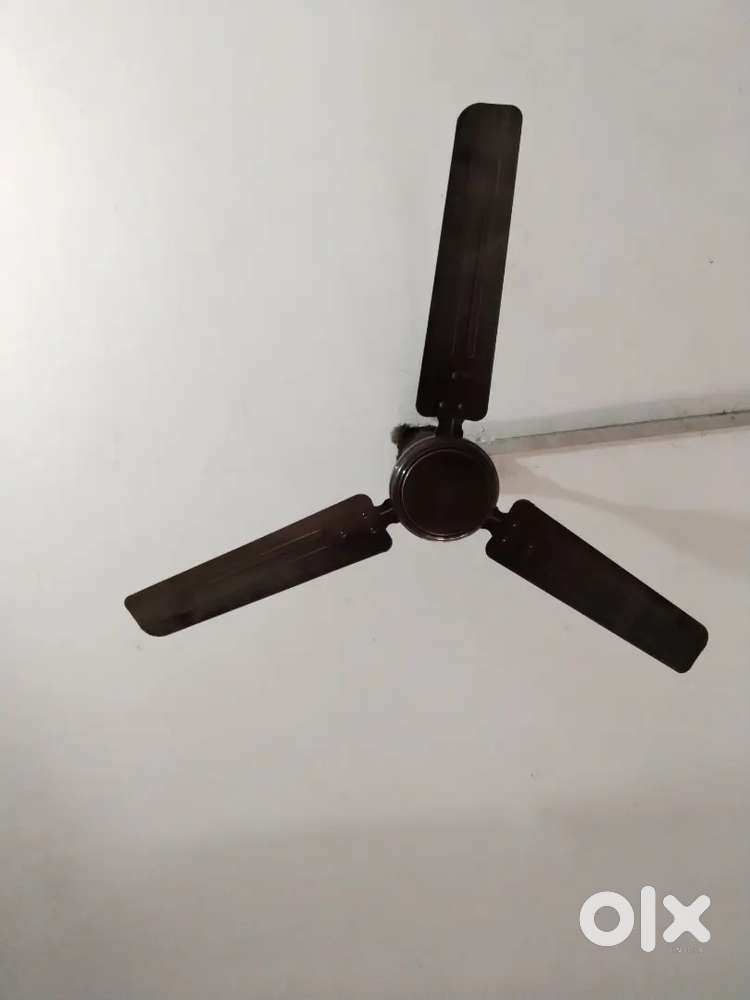 Ceiling Fans