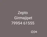 Wanted male (picker&loader) Girmajipet