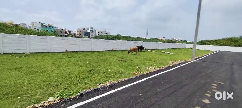 1080 sqft cmda approved plot sale at Pallikaranai