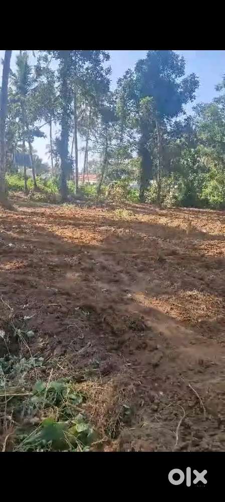 വൈക്കം അക്കരപ്പാടം പുതിയ പാലത്തിന് സമീപം 50 സെൻ്റ് സ്ഥലം വില്പനയ്ക്ക്.