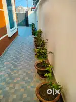 Sushant golf City ansal road lucknow