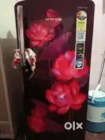 Frige 3 month old