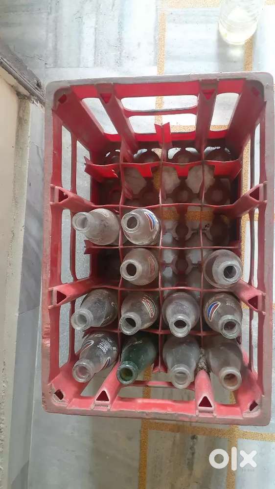 Plastic crate with 12 bottle