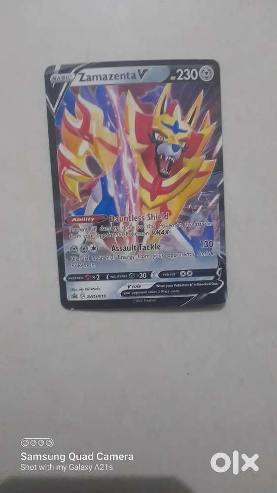 A new zamazenta v