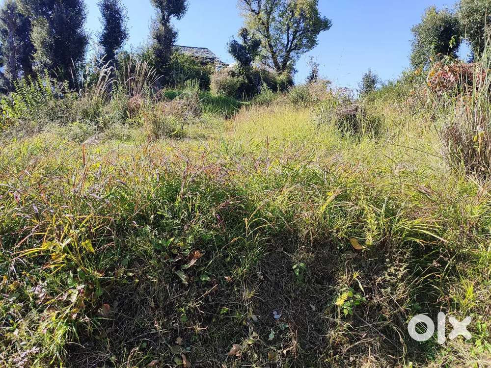 10 biswa plot for sale