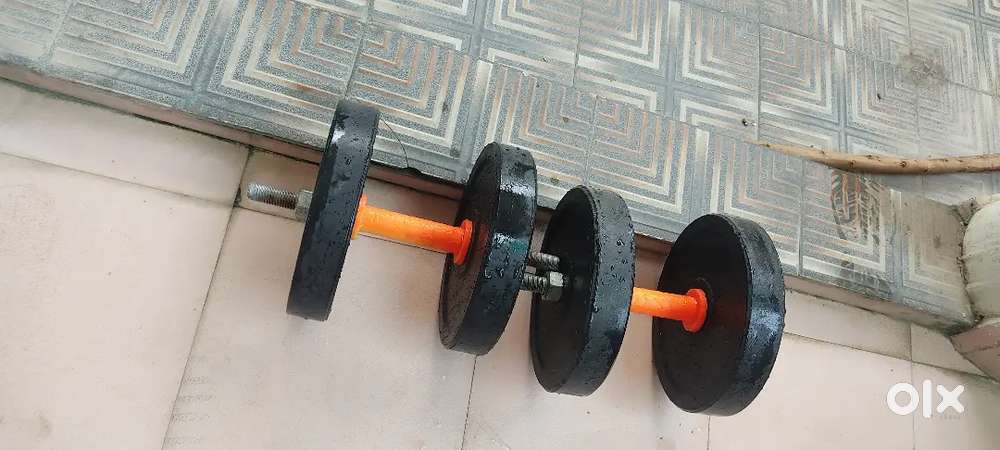 Dumbells with free rods