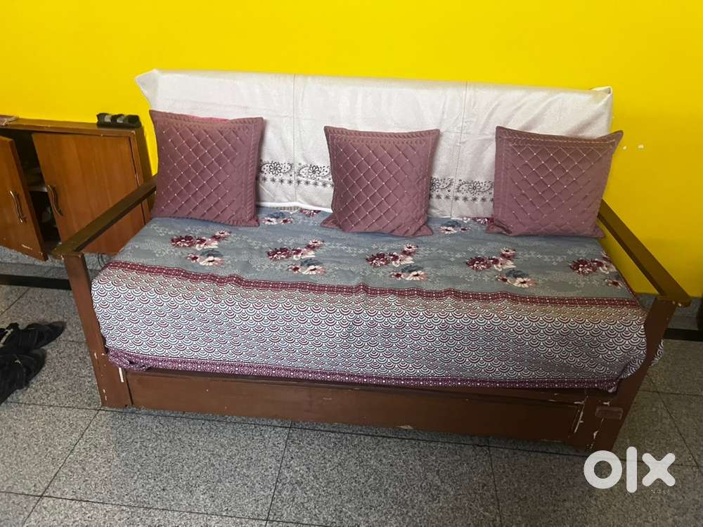 Diwan sofa- sofa cum bed