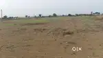 4-ACRE AGRICULTURAL LAND FOR SALE AT WAIGAON BHAIPURA ROAD WARDHA