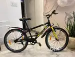 Imported Frog Bicycle