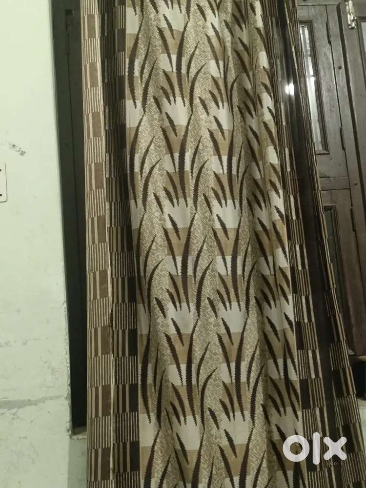 Need room partner for girls