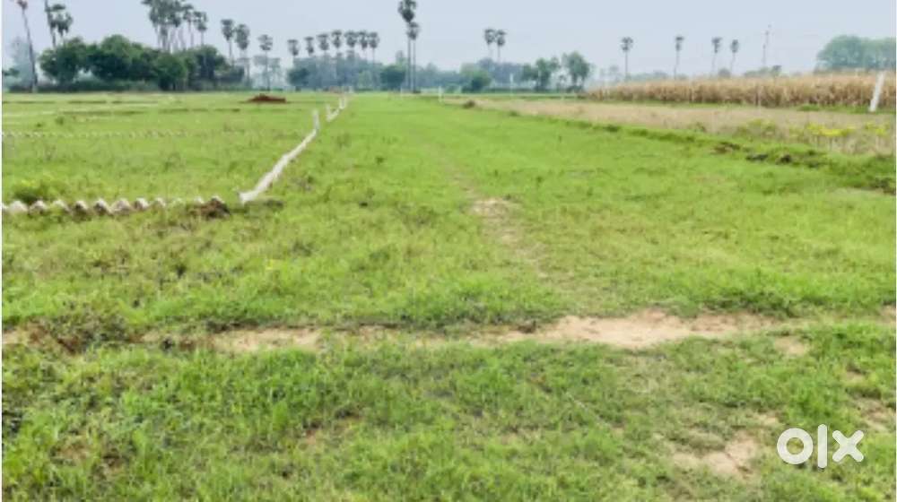 Plot for sale sirasapalli NH5 High way
