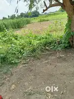 15 kattha plot 20 fit main dhalai road 10 fit plotting roa