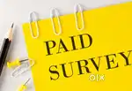 Survey Excutive