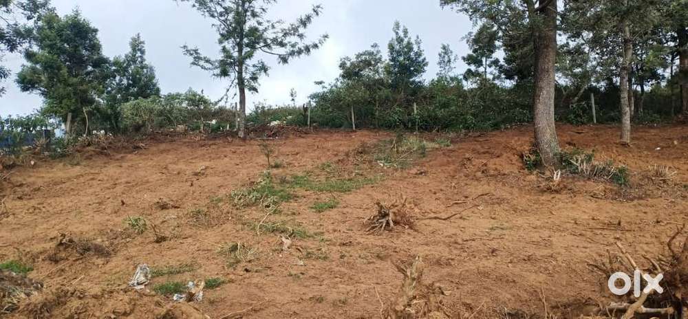 51 Cents of Land for sale in Ooty