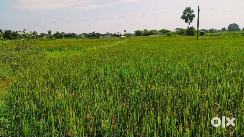 21 lakh per Acre Only,Small Negotiable,2 Acres Agriculture land sale