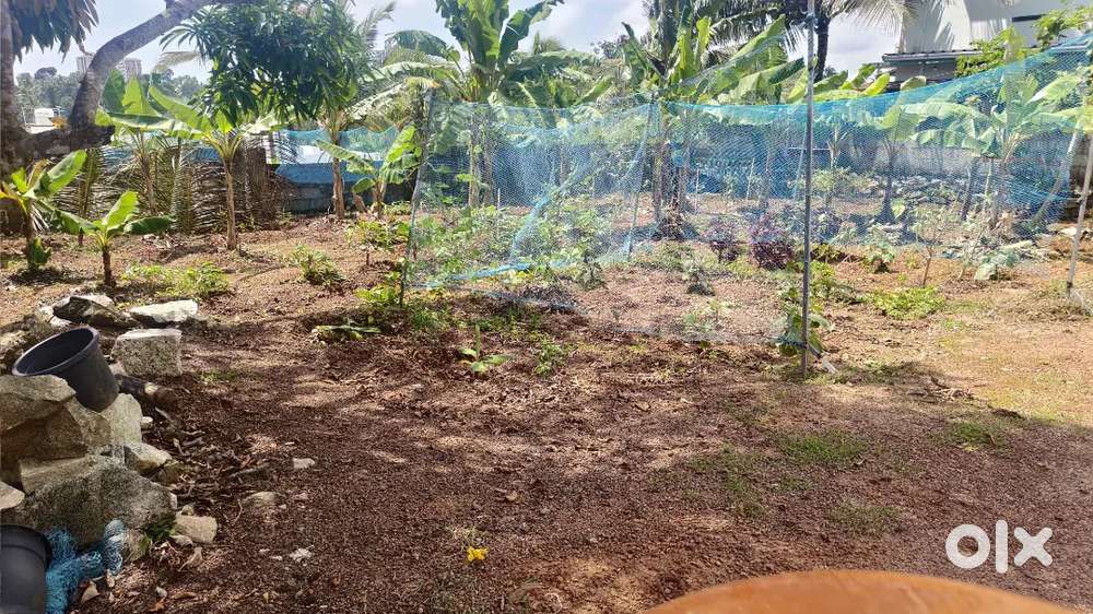 KAZHAKUTTAM പുല്ലുകാട് NEAR 4 CENT BEAUTIFUL LAND TECHNO LORRY SITE