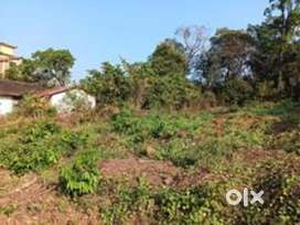 Orchard plots available for sale in Sodiem, Siolim.