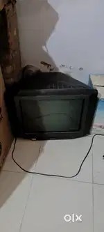 Television