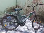 1year old cycle
