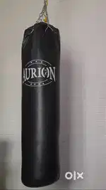 Aurion punching bag