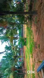 Commercial plots for sale @ sholavaram