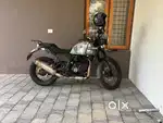 Well maintained Himalayan