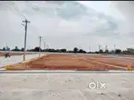 spacious plots