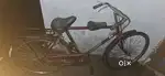 Cycle avon